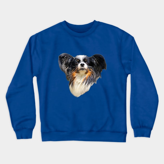 Papillon Dog Extra Cute Tri Papillon Crewneck Sweatshirt by ElegantCat